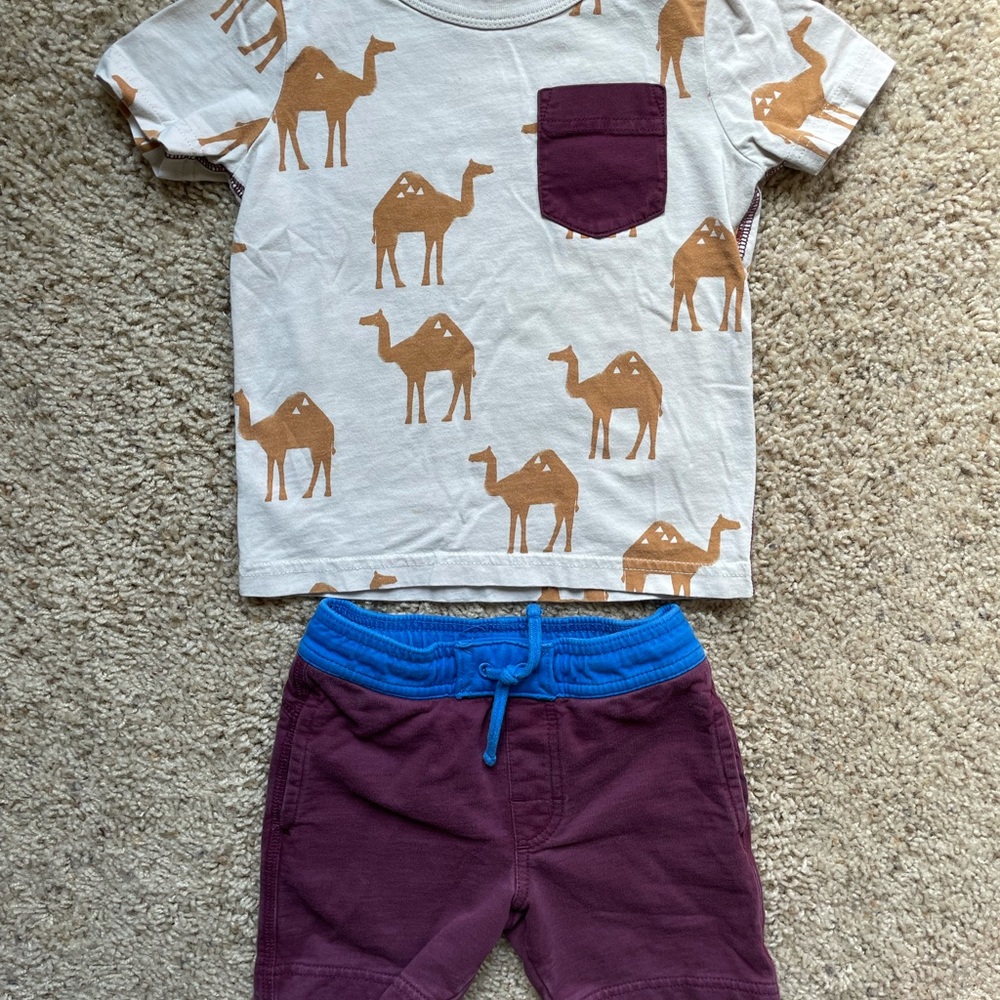 Tea Collection Camel Shirt and Shorts set
